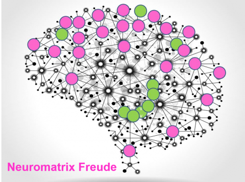 Neuromatrix Freude